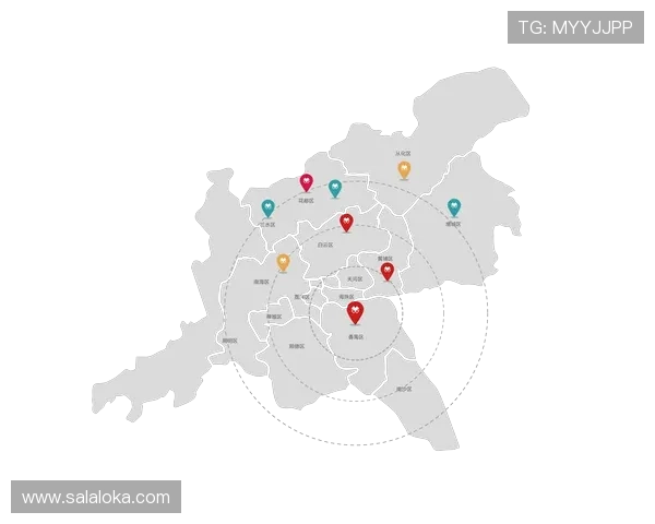 掌握K8凯发官网地址的最新变化,帮助用户轻松应对登录难题与账号安全保障